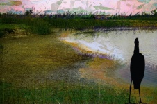 Wetlands Oil Painting