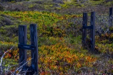 Two Fence Posts