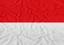 Ilustrația vectorului steagul Indoneziei