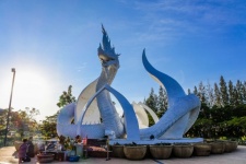 Lotus Park In Sakon Nakhon, Thailand