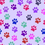 Paws Dog Cat Background