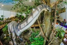 Phu-Wiang, dinozaur Khonkaen Thailanda