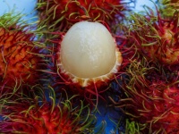 Rambutan słodkie pyszne owoce