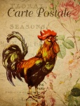 Rooster French Floral Postcard