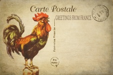 Haan Franse Vintage briefkaart