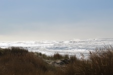 Seagrass Beach