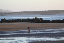 Shucking Clams at Low Tide