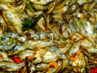 Dušené ryby thajské jídlo