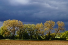Storm Trees Field Sky