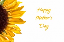 Sunflower Mothers Day Card