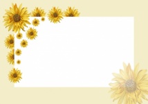Sunflowers Card, Invitation Blank