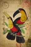 Postal floral vintage de tucán