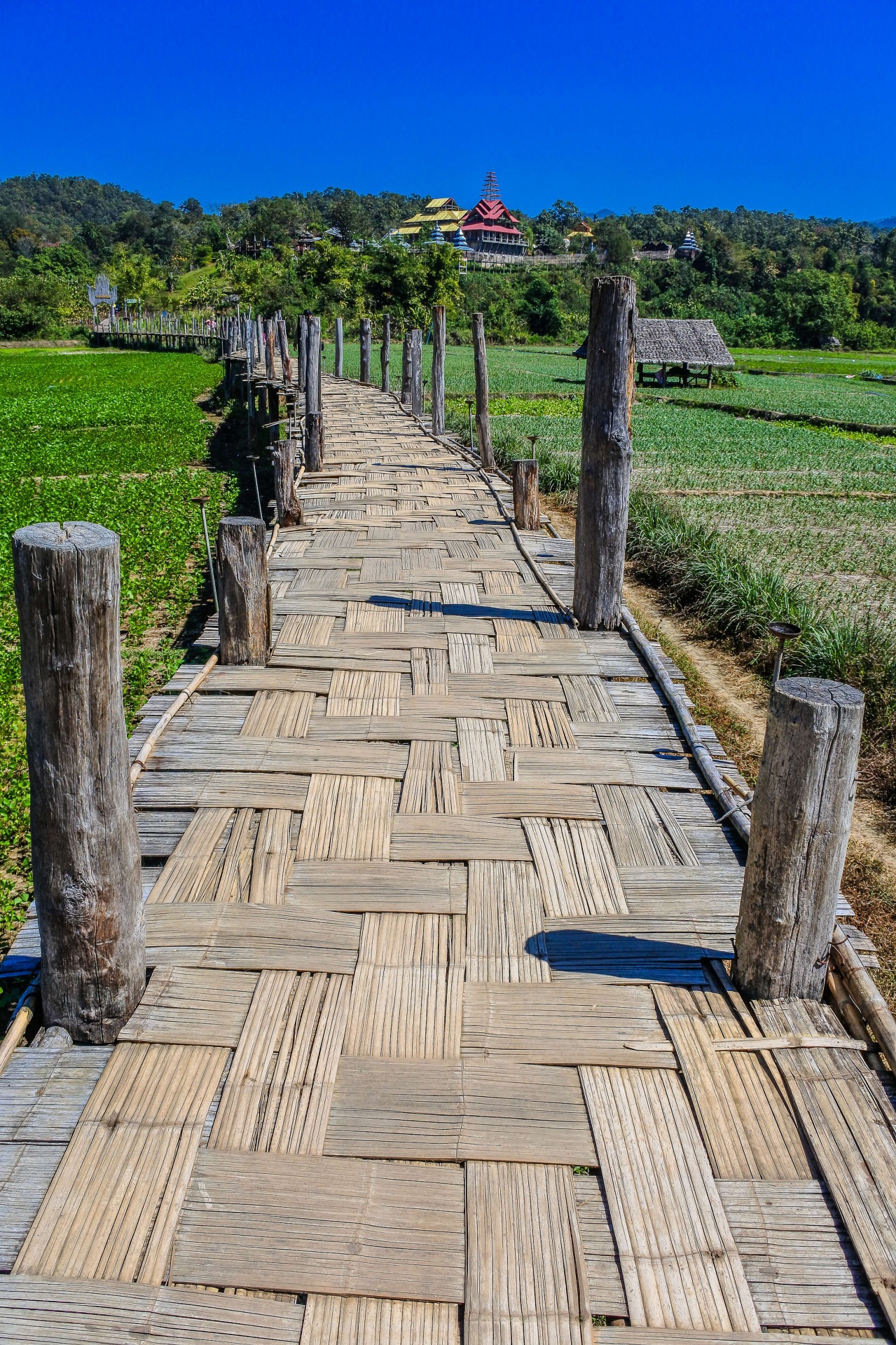 Bamboo Bridge. Sutongpe Bridge