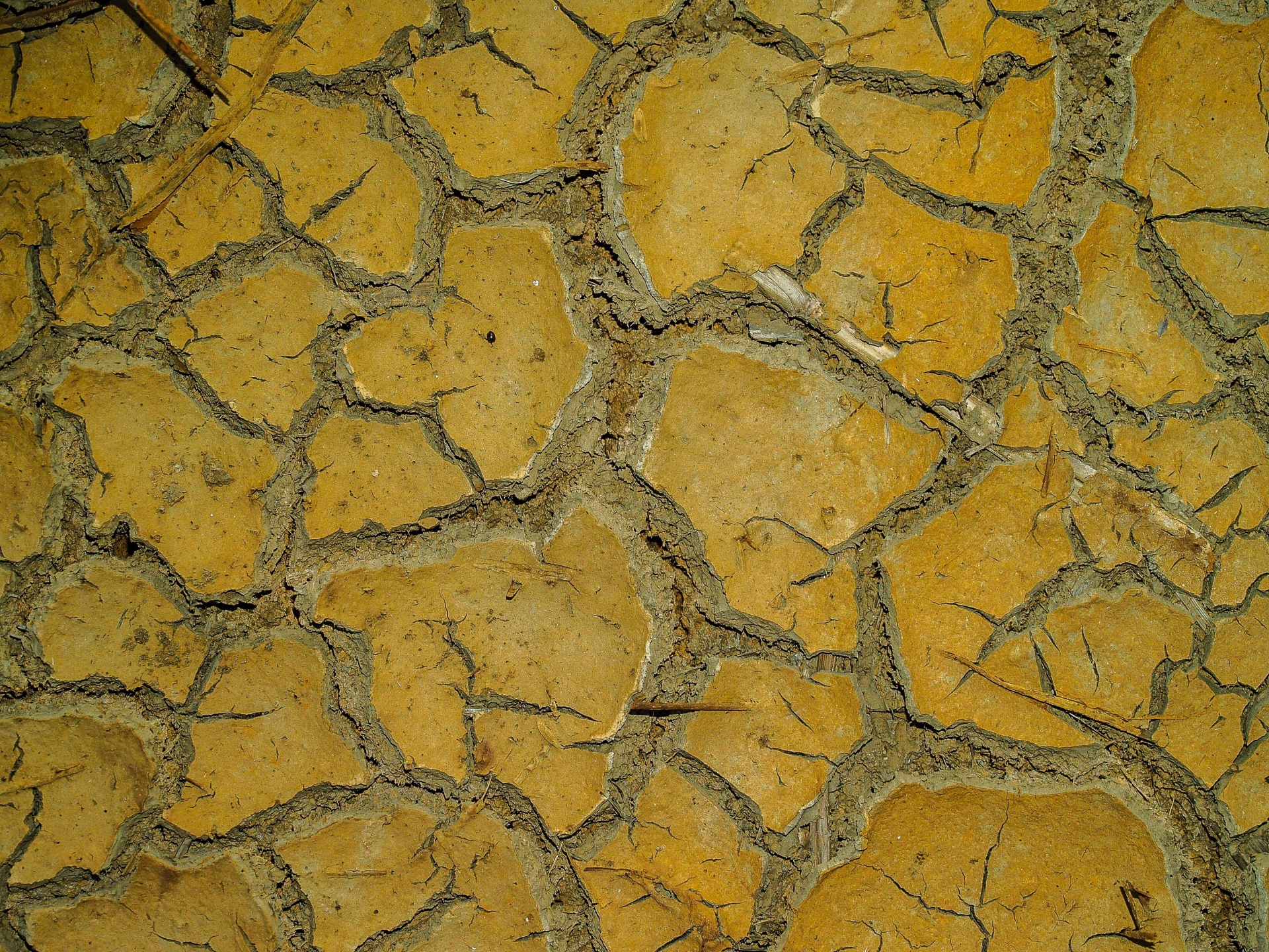 Crack Soil Dry Free Stock Photo - Public Domain Pictures