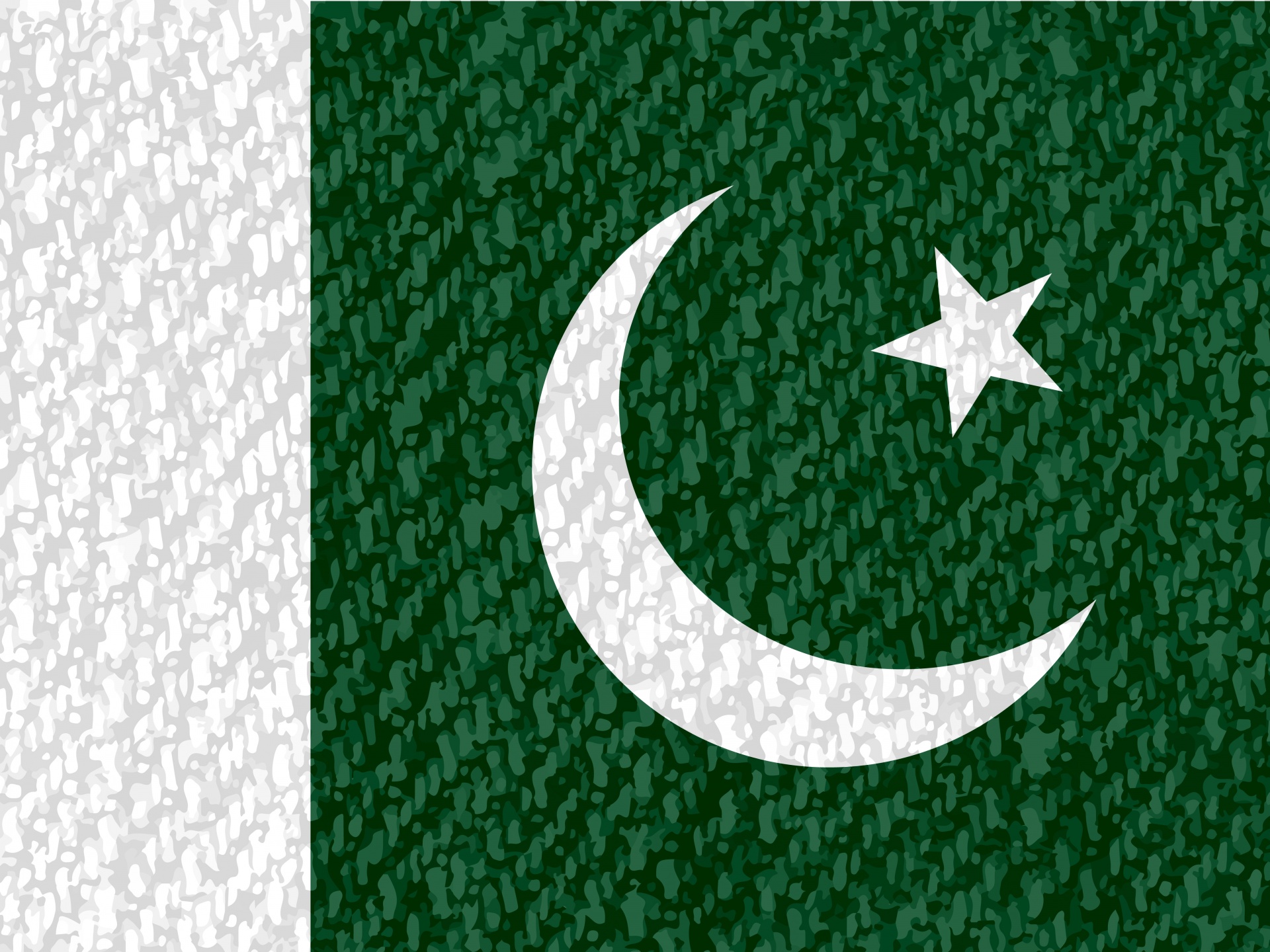 flag-of-pakistan-15871084812er.jpg