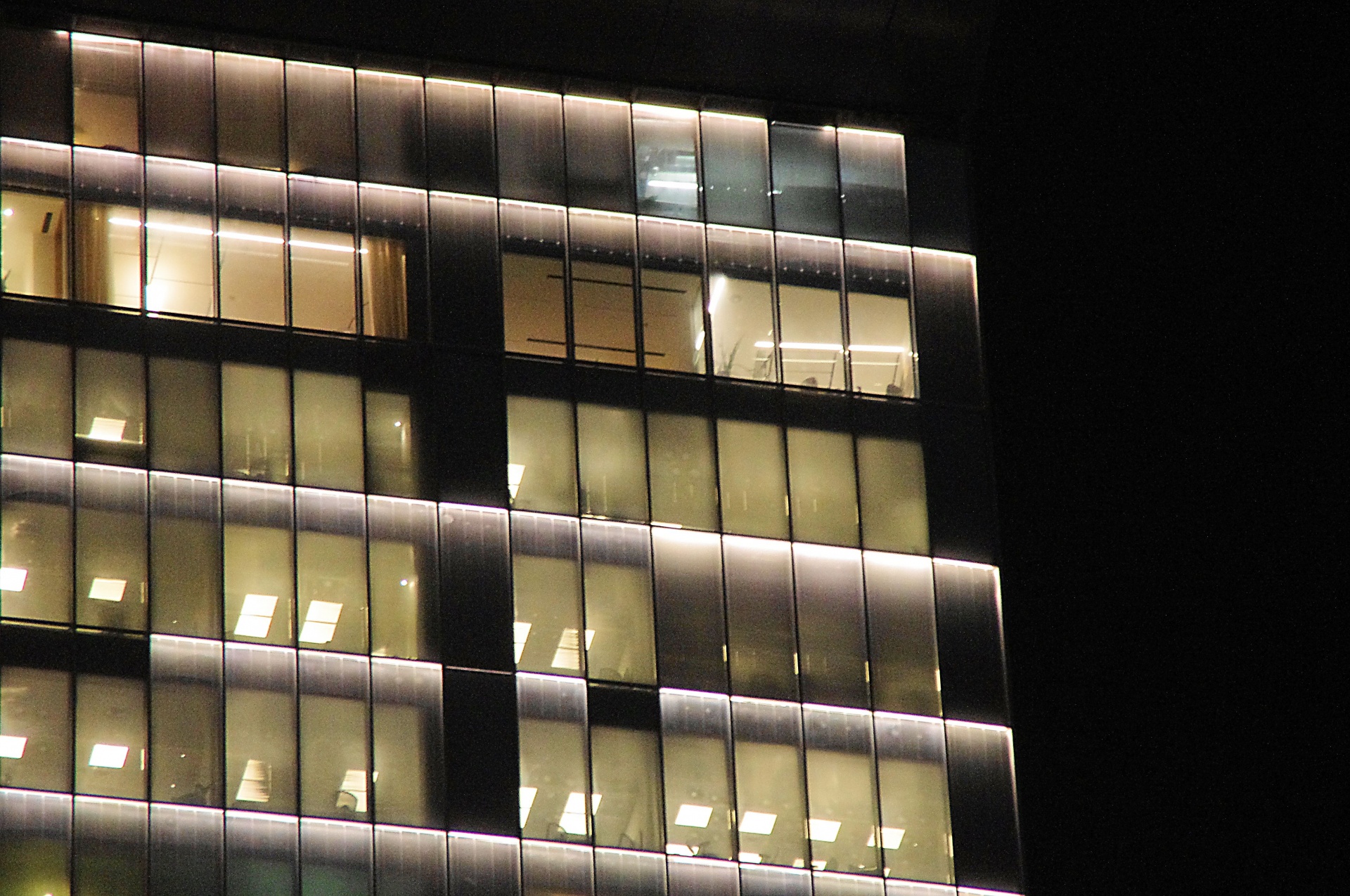 Office Windows At Night Free Stock Photo - Public Domain Pictures
