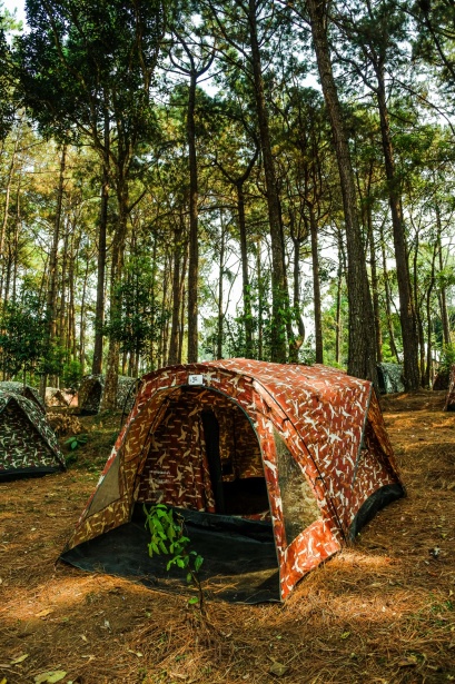 Well, here we are - Página 2 Trip-campsite-in-pine-forest-at-phu-hin-rong-kla-national-park--1588592901iRR