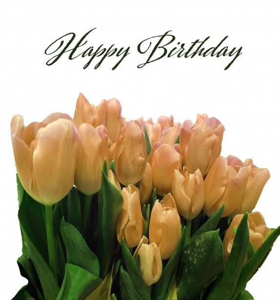 Tulip Greeting Card Birthday Free Stock Photo - Public Domain Pictures