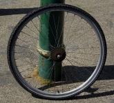 Bicycle Rear Wheel With Gear Cogs