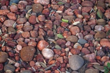 Sammlung von glatten runden Kieselsteine
