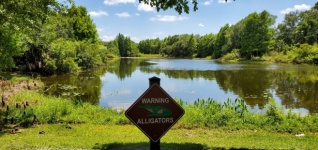 Alerta de crocodilo no lago