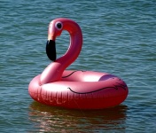 Flamingo Gummi Schwimmring