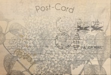 Flower Post Card