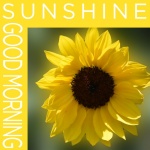 Cartaz da luz do sol do bom dia