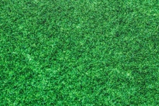 Hintergrundbeschaffenheit des grünen Gra