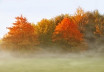 Fundo de nevoeiro de paisagem outono