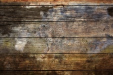 Lerciume del fondo di legno della parete