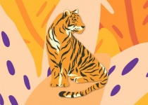 Tigris illusztráció