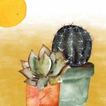 Cacti And Succulent Art