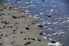 Sea Pebbles