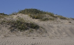 Písečná duna