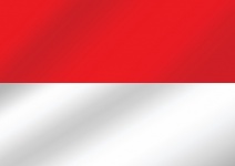 Ilustrația vectorului steagul Indoneziei