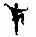 Kung Fu pozice