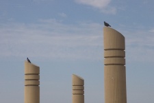 Gołębie siedzący na filarach