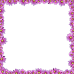 Pink Daisy Flower Frame