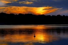 Lac cygne coucher de soleil ciel