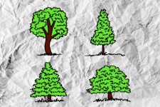 Zestaw drzew z liśćmi