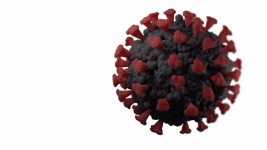 Egyetlen COVID vírus