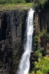 Slender Tall Howick Waterfall