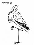 Stork Line Art