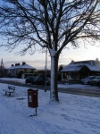 Tree, road, suburb, snow, sunny sky