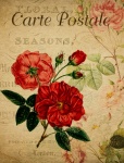 Rosas de cartão postal vintage