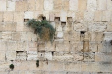 Western Wall In Jerusalem