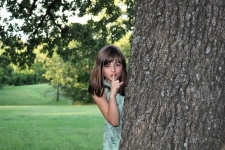 Young Girl Hiding Behind Tree
