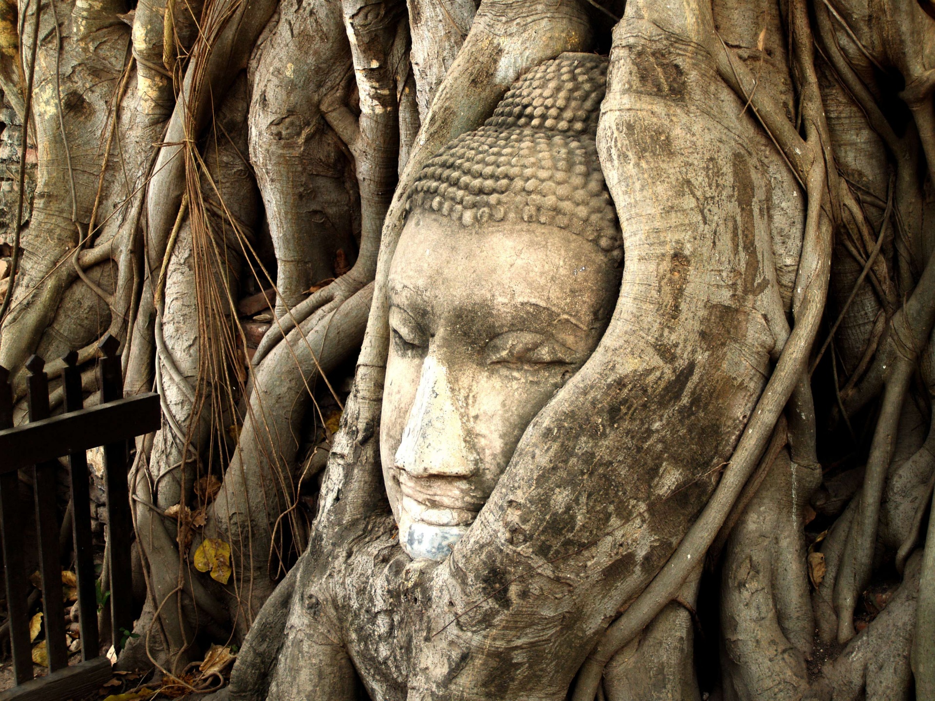 ayutthaya-kingdom-of-siam-thailand-1588673583FMu.jpg