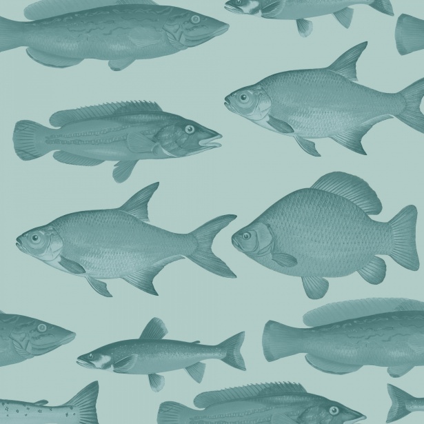 Fish Vintage Background Wallpaper Free Stock Photo - Public Domain Pictures